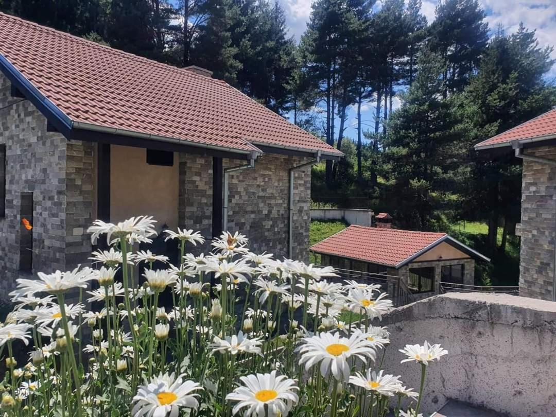 Ваканционна Къща ,,Родопски Уют " Dospat Quarto foto